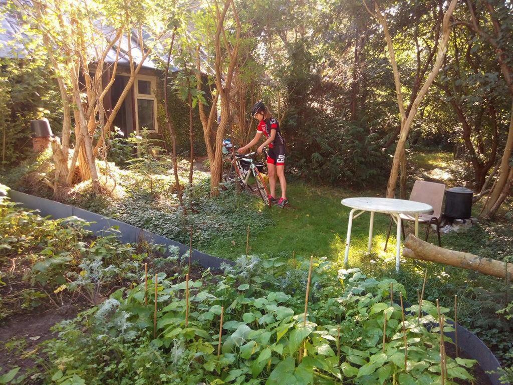 De Hoeve Mare Terre Giethoorn, Voor 1 Tot 6 Personen Exteriör bild